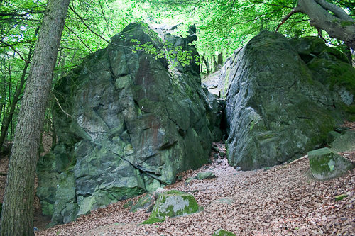 Brohmfels - Odenwald