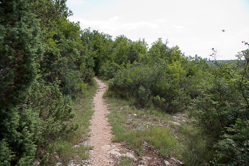 2009-07-25_11-46-01-Kroatien - Dvigrad klettern-_MG_5647