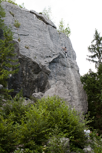 2009-08-02_18-49-49-Slowenien - Bohinskj Jezero-_MG_6439