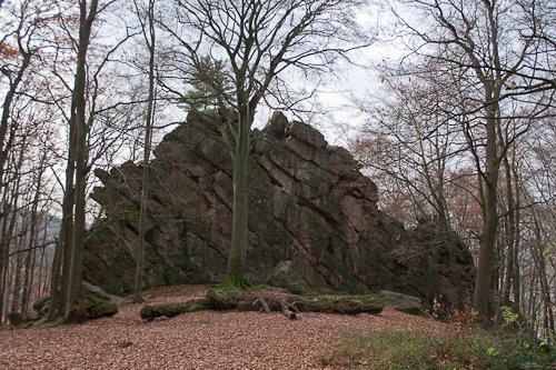 Hohenstein Nordseite ohne Blätterdach
