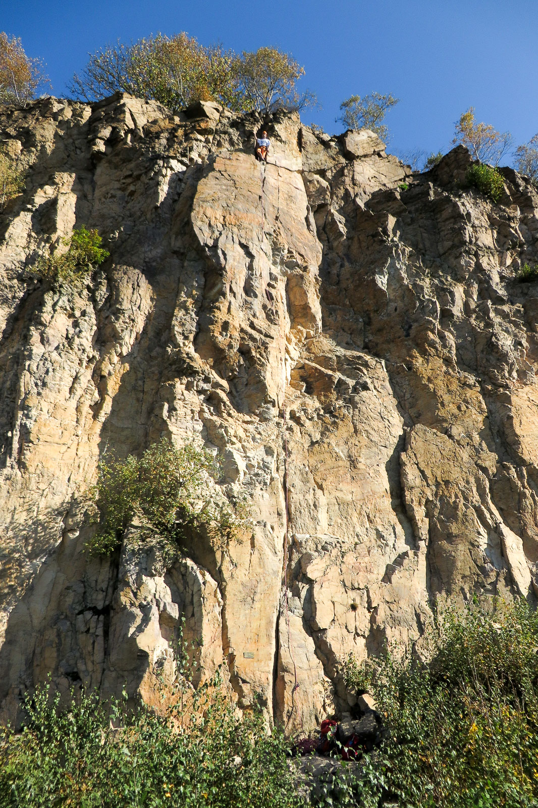 2014-10-19_11-49-15_Schriesheim_IMG_1441-1600