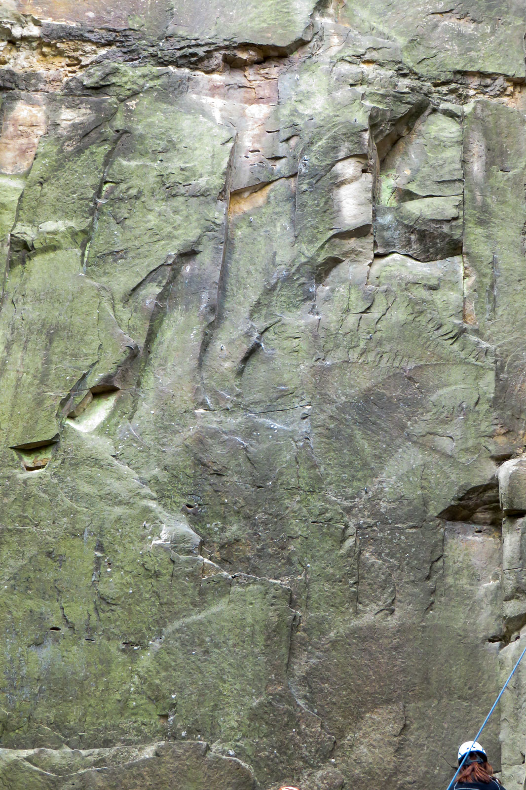 2015-05-14_13-47-58_Gimmeldingen_1902-1600