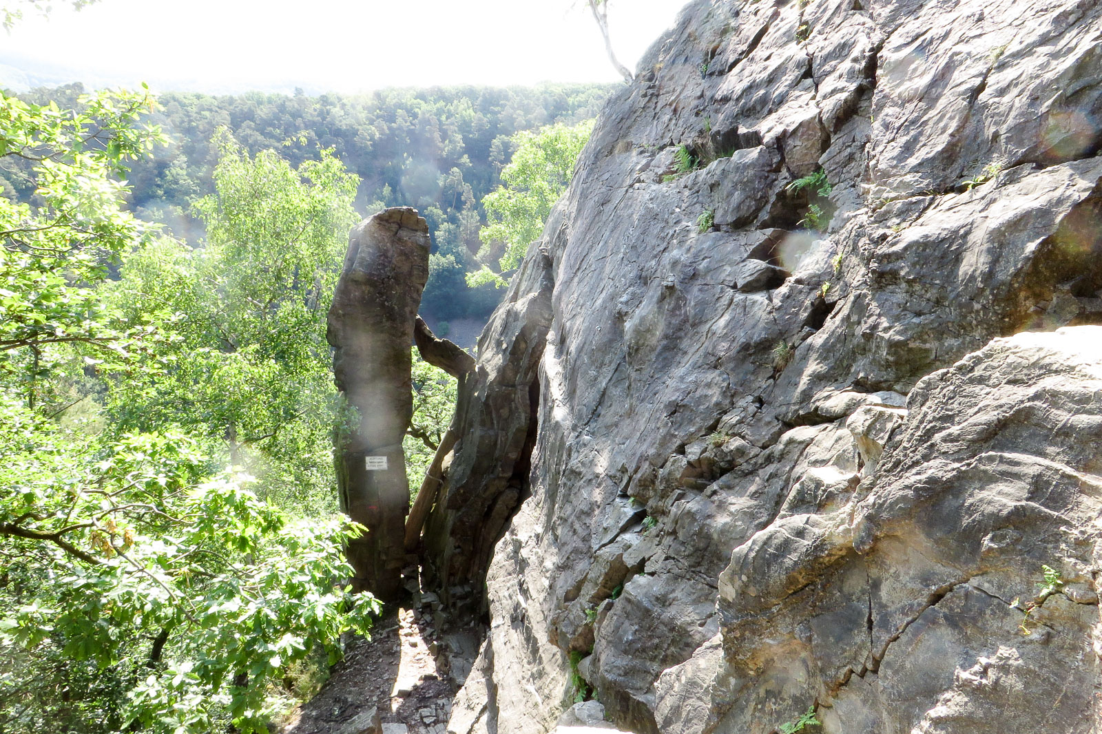 2015-06-07_09-54-58_Morgenbachtal_IMG_2128-1600