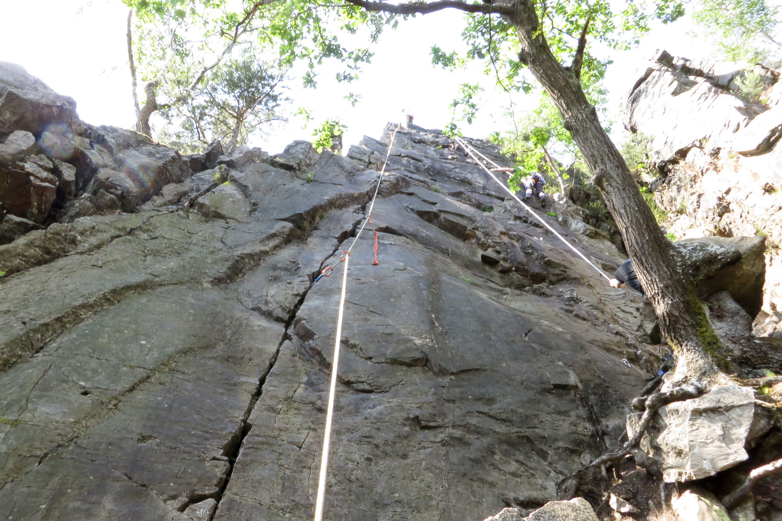 2015-06-07_11-19-37_Morgenbachtal_IMG_2131-1600