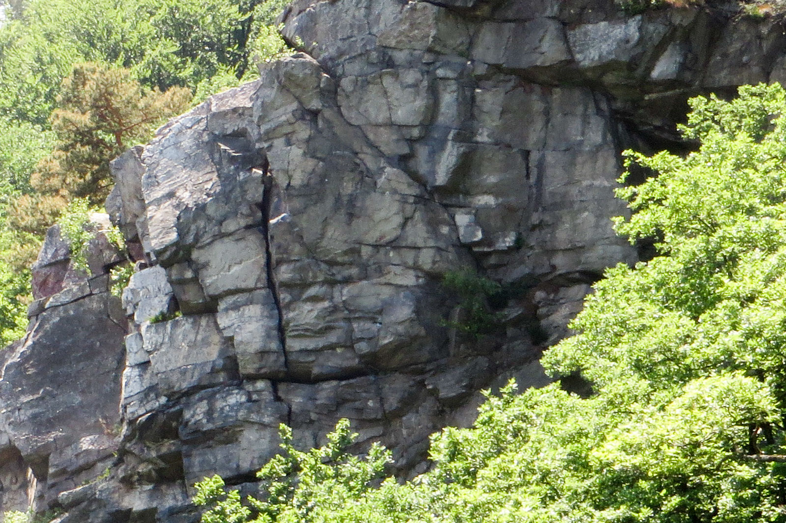 2015-06-07_13-18-23_Morgenbachtal_IMG_2167-1600-2