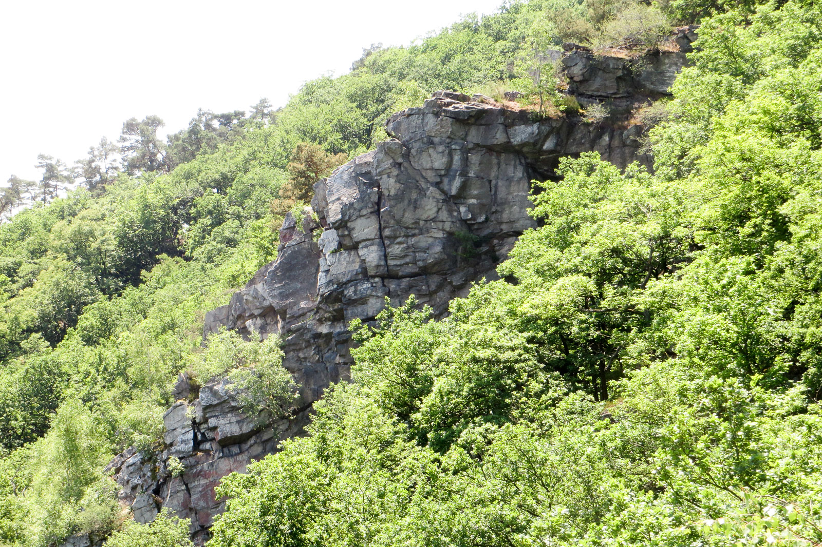 2015-06-07_13-18-23_Morgenbachtal_IMG_2167-1600