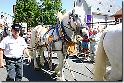 KBF Umzug 2005 - 126ks.jpg